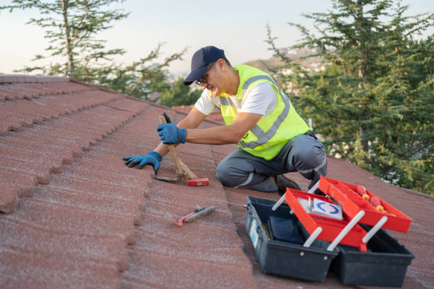 Trusted Appleton, MN Roofing Contractor Experts